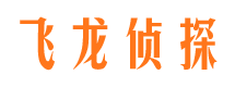 公安市私人侦探